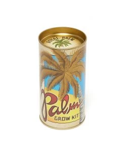 The Jonsteen Company Living Palm Tree - Seed Grow Kit - Royal Palm