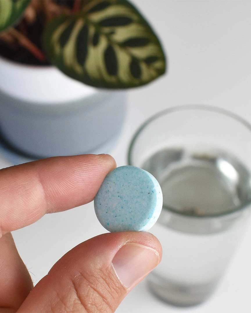 Instant Plant Food- Houseplant & Indoor Plant Fertilizer Living 2 Instant Plant Food- Houseplant & Indoor Plant Fertilizer Living