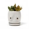 Less Is More Boobie Planter - White