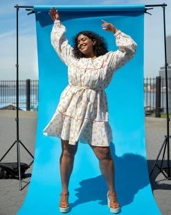 Rachel Antonoff Claudia Dress - Rainbow Fare