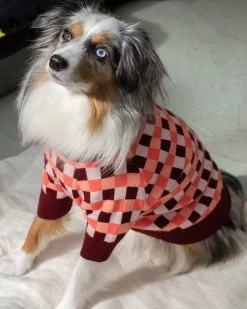 Ban.do X Find Me Now Label Dog Sweater Living