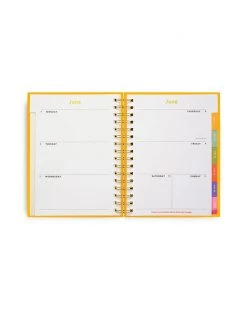 Ban.do Medium 12-Month Planner- Progress Not Perfection