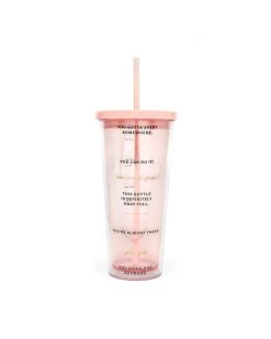 Ban.do Wellness 24 Oz. Sip Sip Tumbler With Straw - Drinking Enough Water?