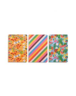 Ban.do Planners + Desk Hold That Thought Notebook Set - Tutti Frutti