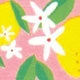 Girl Of All Work Lemon Trees Washi Tape Planners + Desk